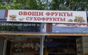 Самозанятым в Петербурге предложили право на аренду у города участков под НТО