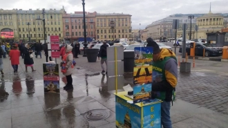 В центре Петербурга ликвидировали 17 точек экскурсоводов-нелегалов
