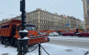 Мундеп обратилась в комитет по благоустройству Петербурга о нецелевом использовании уборочной техники