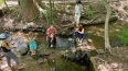 Глава Минздрава США искупался с внуками в воде, кишащей ...