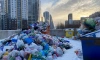 Петербуржцы смогут вернуть деньги за несвоевременный вывоз мусора 