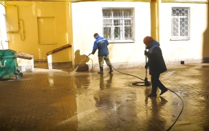 Петербуржцы могут оценить весеннюю уборку в своем районе