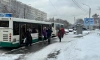 В Петербурге водитель вел автобус и смотрел видео. Его уволят