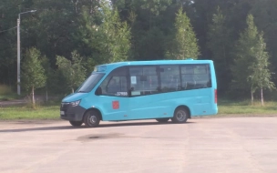 Жители Первомайского сельского поселения возмутились заменой вместительных автобусов на маршрутки