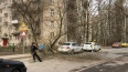 МЧС: в Петербурге 23 апреля ожидаются порывы ветра ...