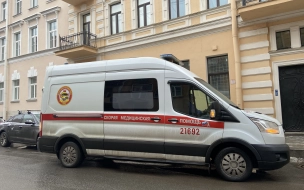 Пятилетняя петербурженка помазала лицо соком Молочая и попала с ожогом в больницу