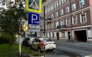 В Петербурге на платных парковках снова наблюдаются проблемы с оплатой