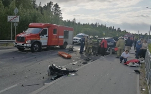 Возбуждено уголовное дело по факту ДТП под Светогорском с гибелью двух водителей