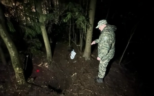 СК показал кадры с места убийства семиклассницы в лесу в Парголово