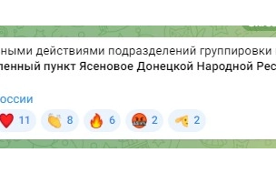 ВС РФ освобожден населенный пункт Ясеновое в ДНР