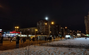 Фото: волчье полнолуние в Петербурге 