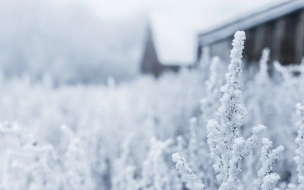 В Ленобласти 4 февраля местами пройдёт снег