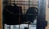 На Чукотке завели дело на полицейского, который помещал задержанных в самодельную клетку