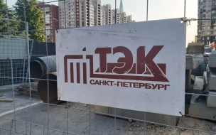 ЗакС одобрил приватизацию ГУП "ТЭК". С инициативой не согласились 19 депутатов