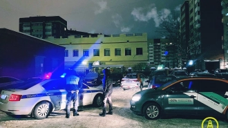 В Колпино полицейские устроили погоню за мигрантом без водительских прав