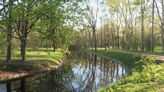 Власти Петербурга объяснили, почему не стригут газоны в городе