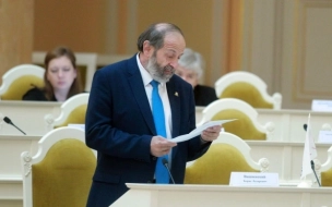 Горизбирком призывает зарегистрировать депутата Вишневского на выборах в ЗакС Петербурга