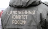 В отношении жительницы Мурино возбудили дело за оскорбление чувств верующих в интернете
