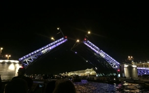 В ночь на День народного единства в Петербурге отменят разводку мостов