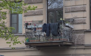 Пьяный брат попытался сбросить сестру с балкона в Красносельском районе