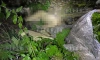 Житель Нового Девяткино обнаружил труп женщины в кустах
