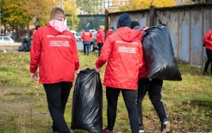 В Петербурге трудятся сотни тысяч волонтёров