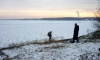 Специалисты сняли со льда двух человек в ходе рейда в Петродворцовом районе 