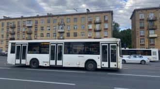 Между станциями метро "Кировский завод" и "Московская" летом  запустят новый автобус