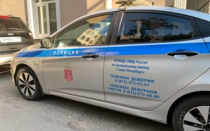 Открывшего стрельбу в школе Петербурга подростка арестовали