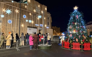 В новогоднюю ночь почти 3 тыс. полицейских будут патрулировать улицы Петербурга