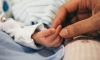 В 15 роддомах Петербурга родители могут получить свидетельство о рождении ребёнка при выписке