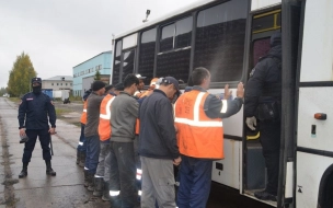 Более 15 иностранных граждан привлекли к ответственности в ходе операции "Нелегал-2024" в Петербурге