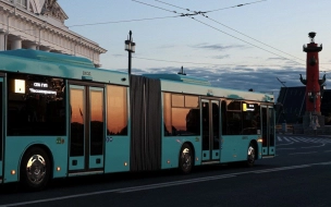 В Петербург до конца 2024 года поставят более 100 автобусов-гармошек