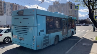 Более 90 новых маршрутов появилось в Петербурге после проведения транспортной реформы