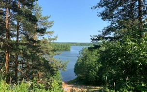 Пожароопасный сезон стартовал в Петербурге
