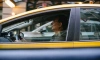 Люди с судимостью больше не смогут работать таксистами и водителями общественного транспорта