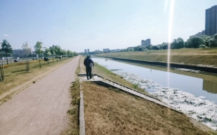 Дудергофский канал в Красносельском районе очистили от водорослей