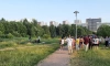 В пруду Пулковского парка утонул 10-летний ребёнок