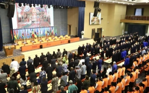 Международный конгресс "Африка ищет решения" начался в Петербурге