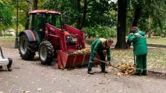 Петербургский службы занялись уборкой города от осенней непогоды