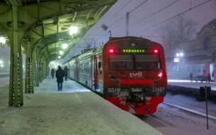 Стоимость Единого комбинированного билета ЕКБ-5 Павловск снизится с 1 февраля 2023 года