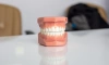 Изобретение петербургского стоматолога поможет предотвратить развитие некроза челюсти