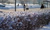 Метеоролог спрогнозировал резкое похолодание в Москве