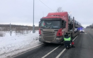 В Тосненском районе пьяный водитель автовоза убегал от стреляющего полицейского