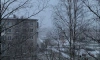 МЧС: днём 24 декабря в Ленобласти ожидается сильный снегопад