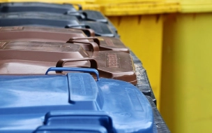 Раздельный сбор мусора в России могут поощрить отменой НДС