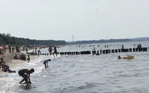 В Балтийском море нашли тело пожилой утопленницы из Петербурга