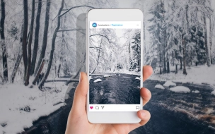 Огромные сугробы, ледяные блины и лиственницы: как Линдуловская роща стала главной Instagram-локацией этой зимы