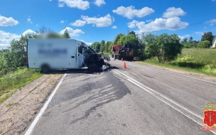 В Ленобласти микроавтобус сбил насмерть дорожного рабочего