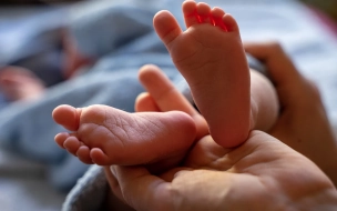 Пенсионерка обнаружила тело новорожденной внучки в Колпино